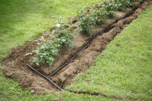 3 Things to Know About Irrigation System Installation