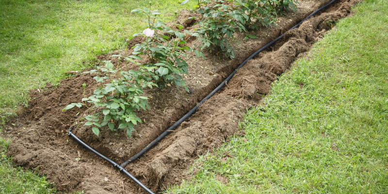 3 Things to Know About Irrigation System Installation