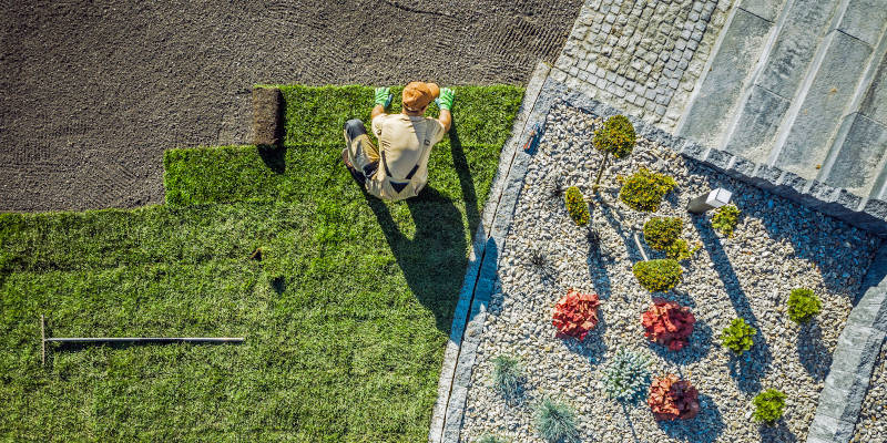 Sod Installation in Allen, Texas