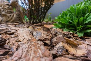 Bed Mulching: Which Type of Mulch Should You Choose?