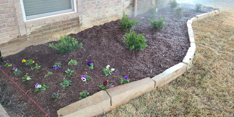 Bed Mulching in Allen, Texas