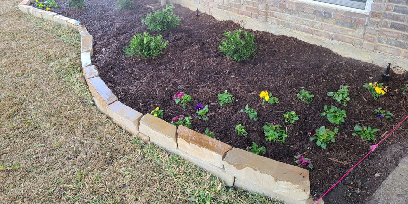 Flower Planting in Allen, Texas