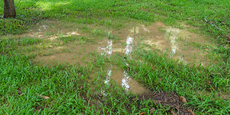 Why Should You Add a Drainage System On Your Property?