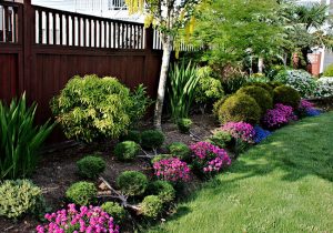 Get Your Perfect Outdoor Oasis with Professional Landscaping
