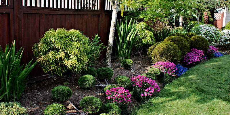 Get Your Perfect Outdoor Oasis with Professional Landscaping