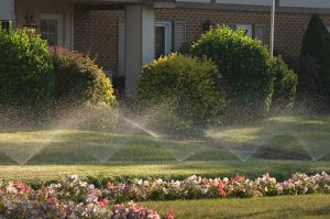 Lawn Irrigation Can Be a Game Changer For Your Yard