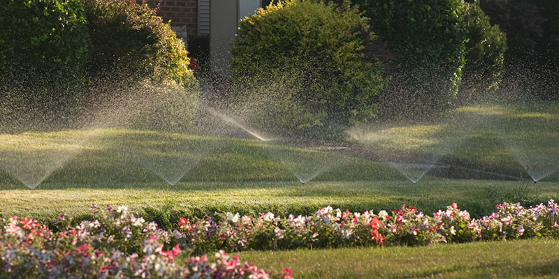 Lawn Irrigation Can Be a Game Changer For Your Yard