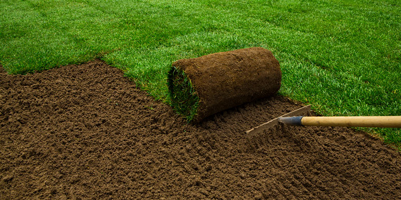 Sod Installation: Get the Perfect Lawn Without the Wait