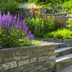 Landscaping in Plano, Texas