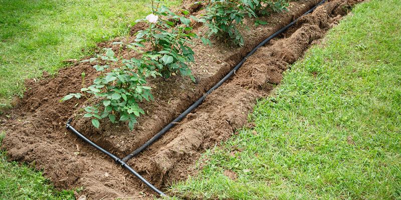 How to Prepare for Irrigation System Installation Services