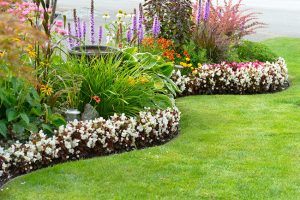 3 Important Elements of Landscape Design to Keep in Mind