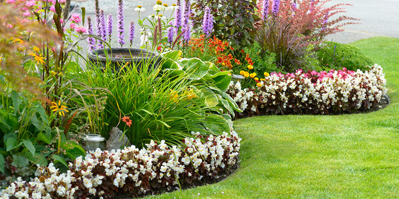 3 Important Elements of Landscape Design to Keep in Mind