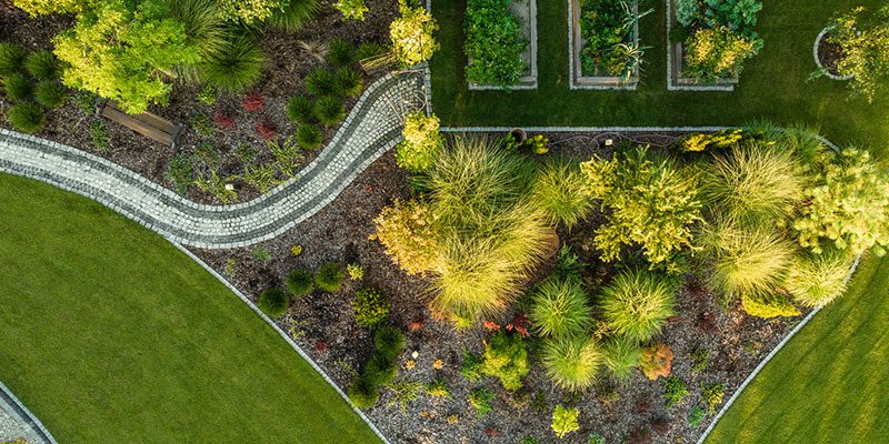 3 Easy Heat-Resistant Landscaping Tips