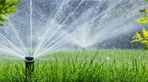 5 Benefits of Sprinkler Systems