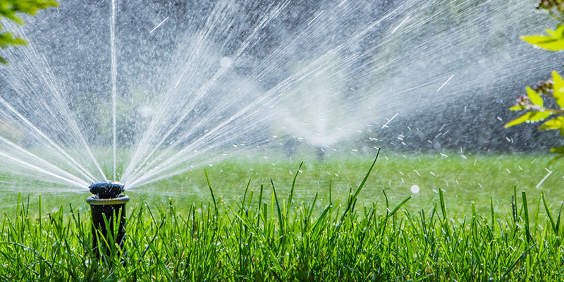 5 Benefits of Sprinkler Systems