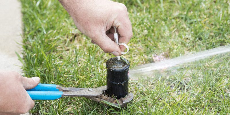 Sprinkler System Maintenance in Dallas, Texas