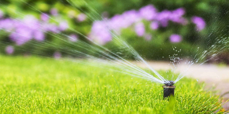 Lawn Irrigation