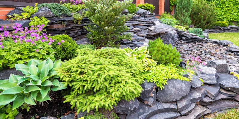 Five Landscaping Trends to Watch Out For