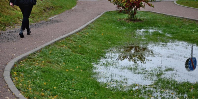 Managing Landscape Drainage: Four Essential Tips We Want You to Know
