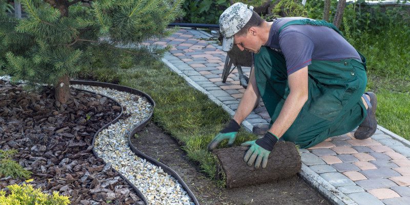 Which Outdoor Renovations Should You Leave to a Landscaping Contractor?
