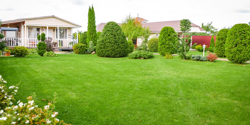 Landscaper in Dallas, Texas