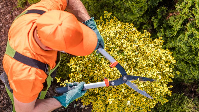 7 Home Landscaping Upgrades That Boost Curb Appeal