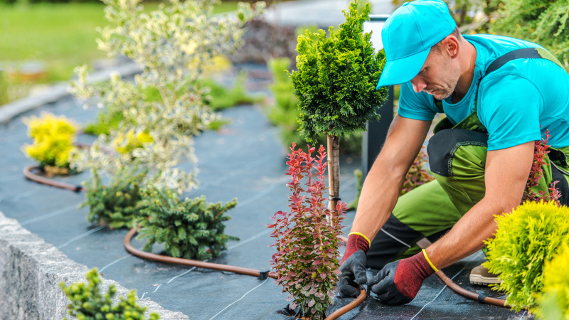 Are You Hiring the Right Landscaper for Long-Term Results?