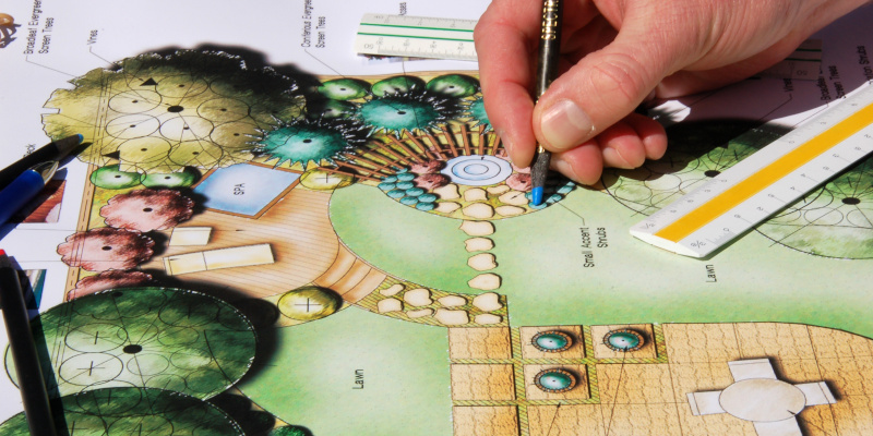 How Smart Landscape Design Transformed a Dry, Patchy Lawn